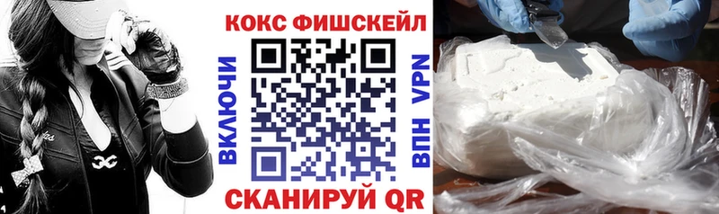 купить наркотики сайты  Елизово  COCAIN 97% 
