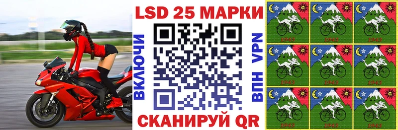 блэк спрут ссылка  купить наркотик  Елизово  Марки NBOMe 1500мкг 