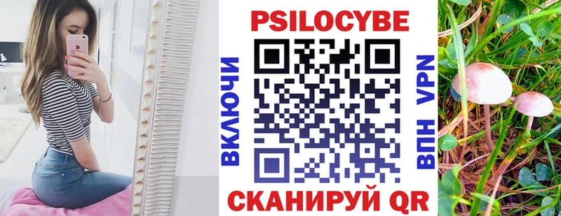 где продают наркотики  Елизово  Галлюциногенные грибы ЛСД 