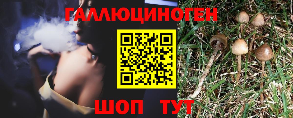 Галлюциногенные грибы прущие грибы Елизово