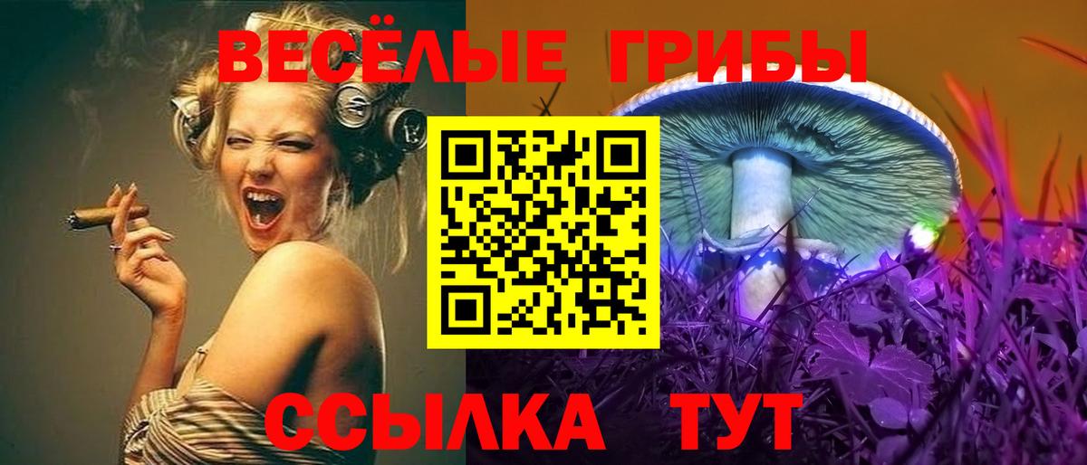 Псилоцибиновые грибы Psilocybine cubensis  Вход с VPN  Елизово 