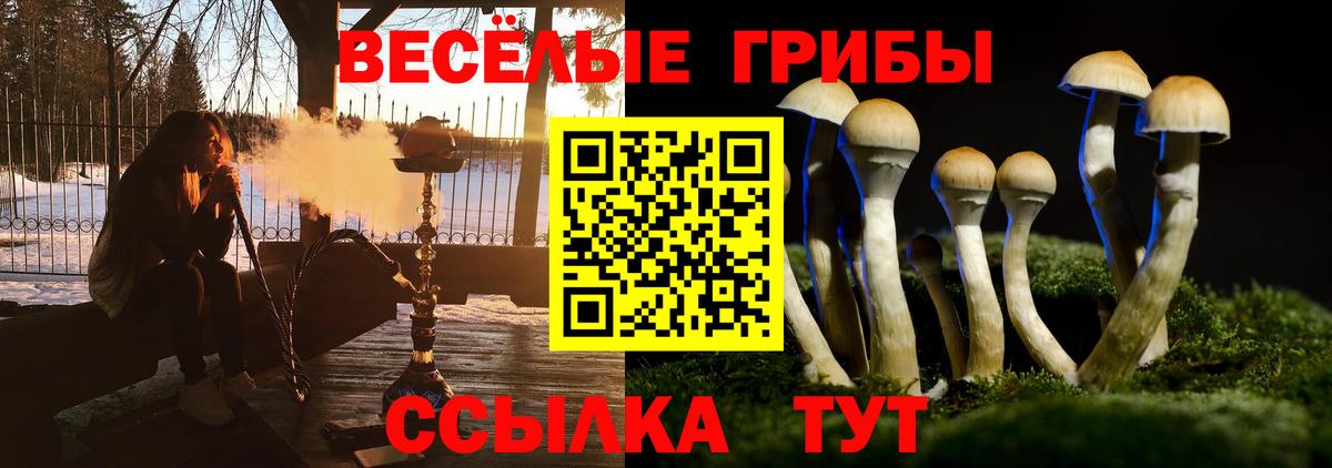 где купить наркотик  Галлюциногенные грибы ЛСД  Елизово  Галлюциногенные грибы Magic Shrooms 