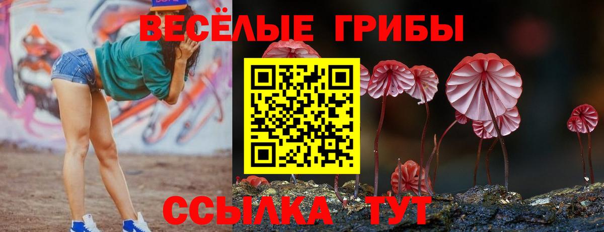 Псилоцибиновые грибы Psilocybine cubensis Елизово